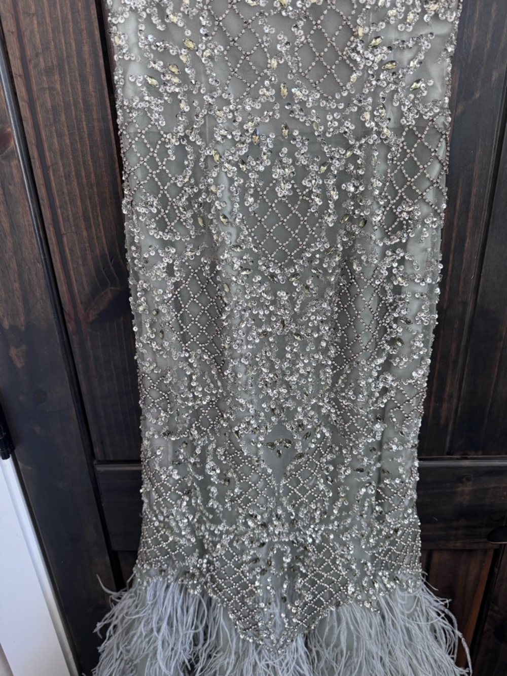 Terani Couture Feathered Gown - Picture 8 of 12